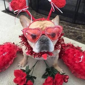 Meet your Posher, Tricia